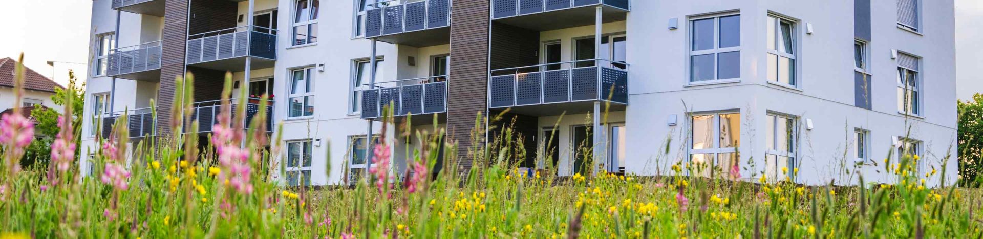 Blick über eine Wiese auf ein modernes Mehrfamilienhaus mit grauen Balkonen